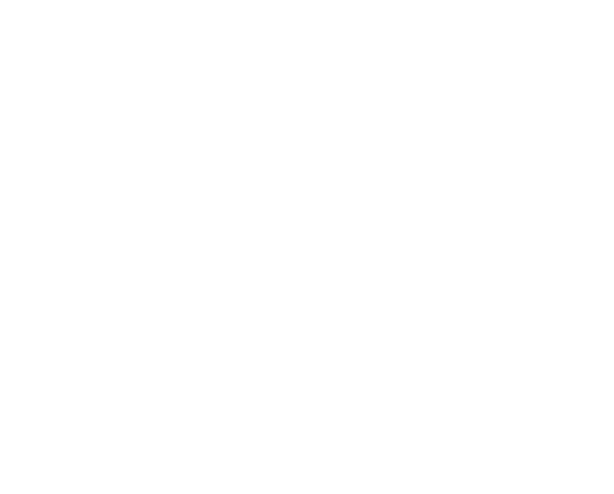 Bad Buggy